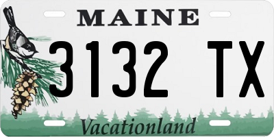 ME license plate 3132TX