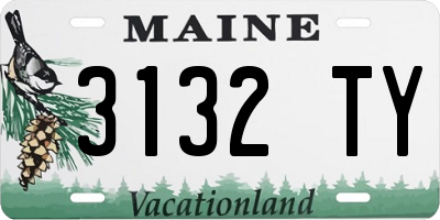 ME license plate 3132TY