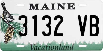 ME license plate 3132VB