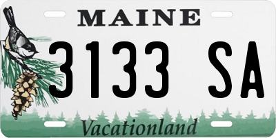 ME license plate 3133SA