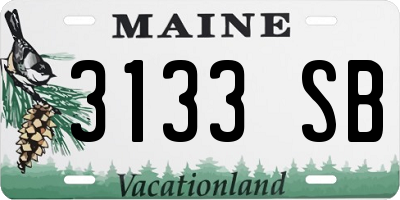 ME license plate 3133SB