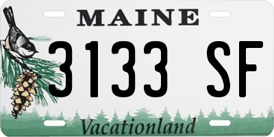 ME license plate 3133SF