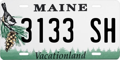 ME license plate 3133SH