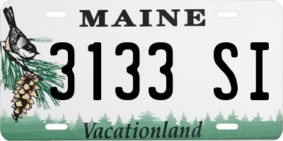 ME license plate 3133SI