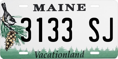 ME license plate 3133SJ