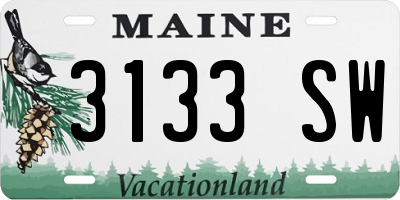 ME license plate 3133SW