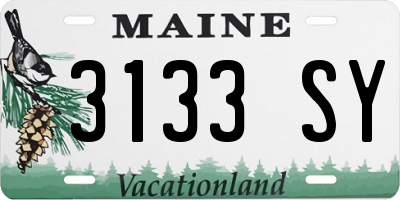 ME license plate 3133SY