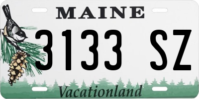 ME license plate 3133SZ