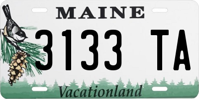 ME license plate 3133TA
