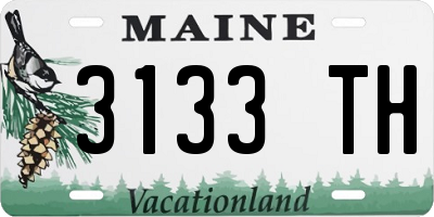 ME license plate 3133TH
