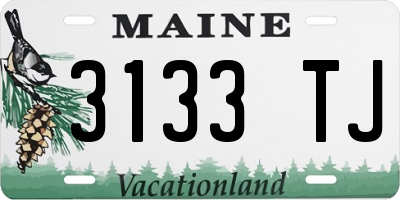 ME license plate 3133TJ