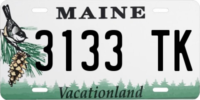 ME license plate 3133TK