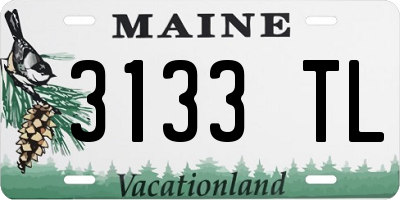 ME license plate 3133TL