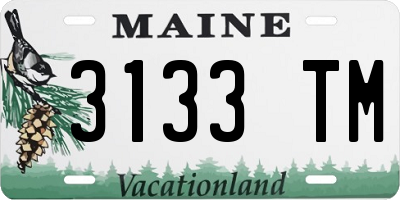 ME license plate 3133TM