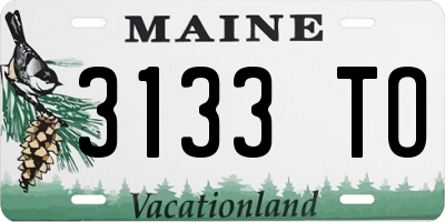 ME license plate 3133TO
