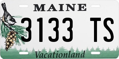 ME license plate 3133TS