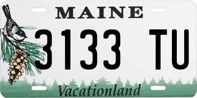 ME license plate 3133TU