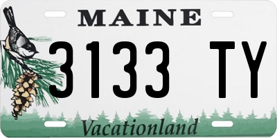 ME license plate 3133TY