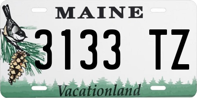 ME license plate 3133TZ