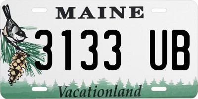 ME license plate 3133UB