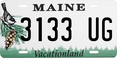 ME license plate 3133UG