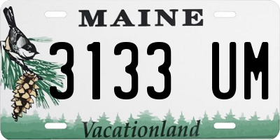ME license plate 3133UM