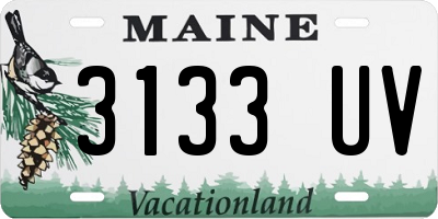 ME license plate 3133UV