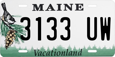 ME license plate 3133UW