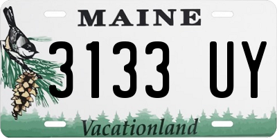 ME license plate 3133UY