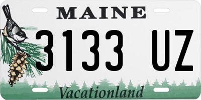 ME license plate 3133UZ