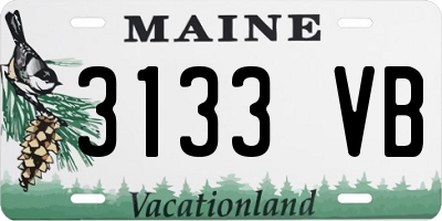 ME license plate 3133VB