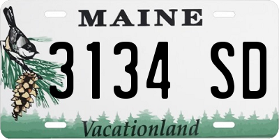 ME license plate 3134SD