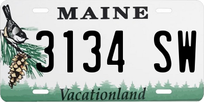 ME license plate 3134SW
