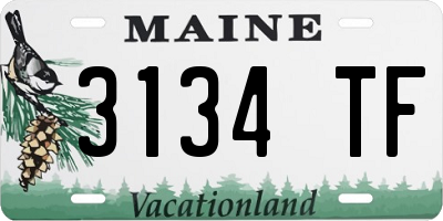 ME license plate 3134TF