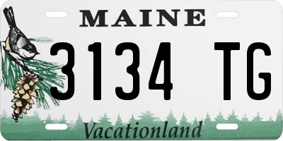 ME license plate 3134TG