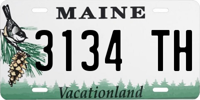 ME license plate 3134TH
