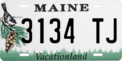 ME license plate 3134TJ
