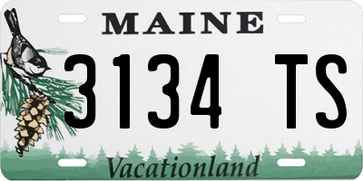ME license plate 3134TS