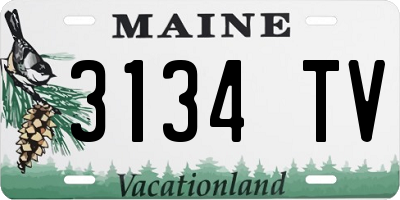 ME license plate 3134TV