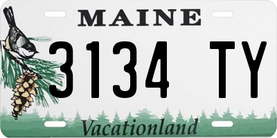 ME license plate 3134TY