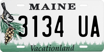 ME license plate 3134UA