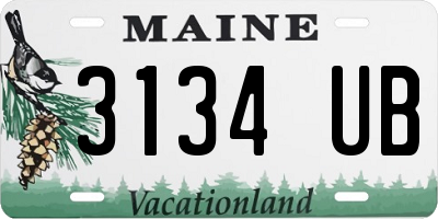 ME license plate 3134UB