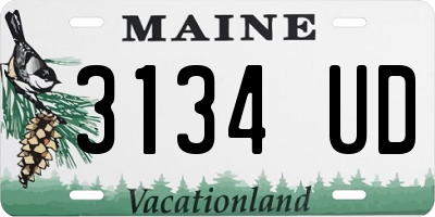 ME license plate 3134UD