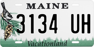 ME license plate 3134UH