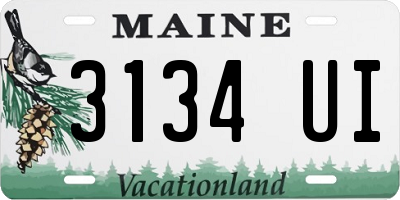 ME license plate 3134UI
