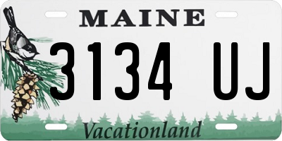 ME license plate 3134UJ