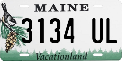 ME license plate 3134UL