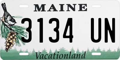 ME license plate 3134UN