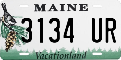 ME license plate 3134UR