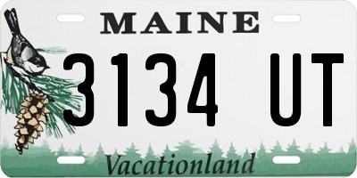 ME license plate 3134UT